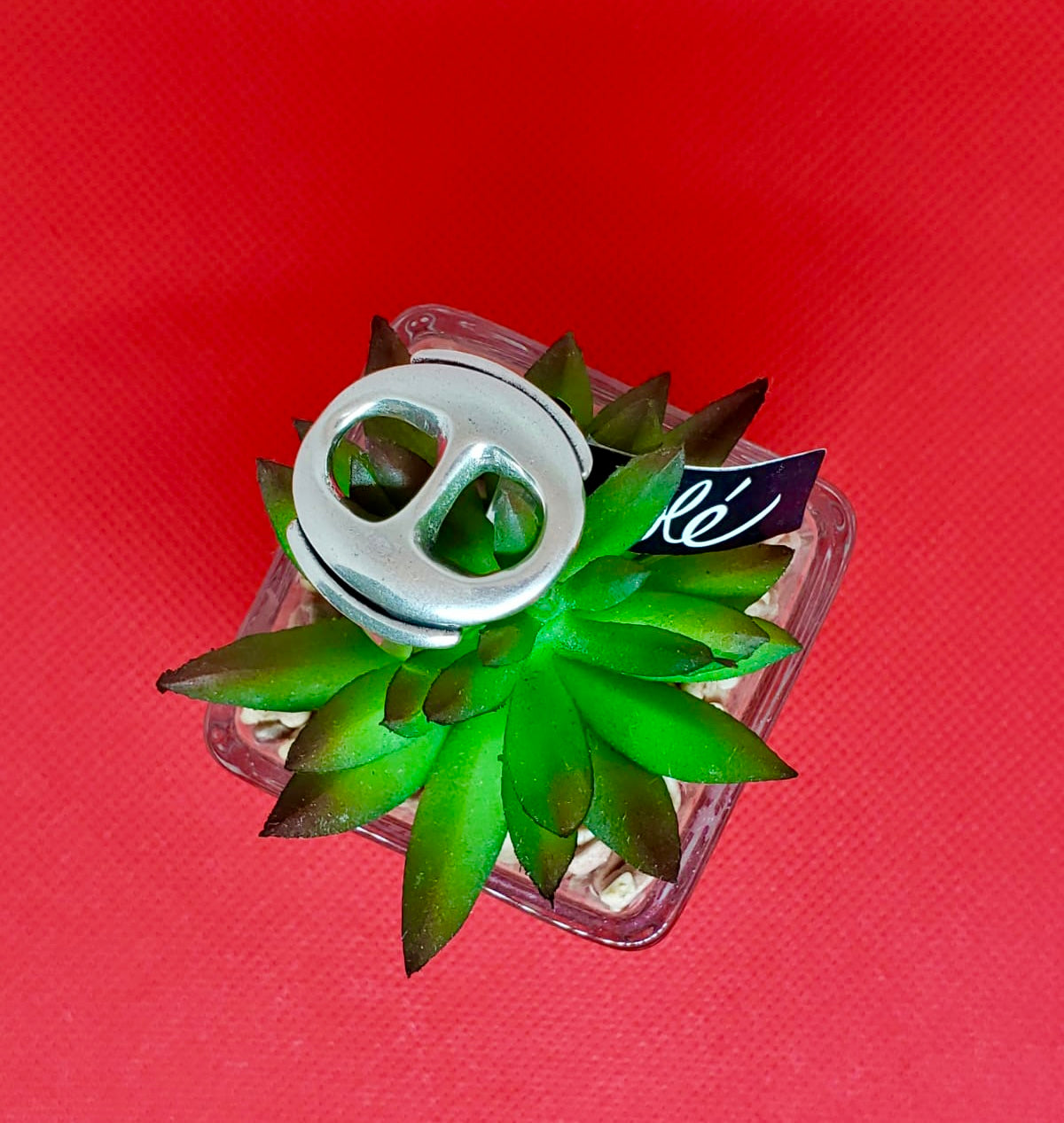 Anillo plata coleccion Olé